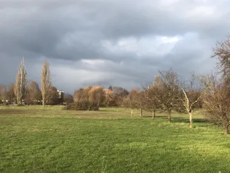 Die Schafwiesen vor der Haustür