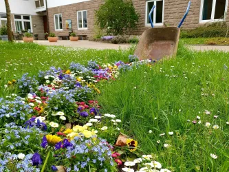 Ein bunter Garten mit vielen Blumen und frischem Gras. Im Hintergrund steht eine Schubkarre.