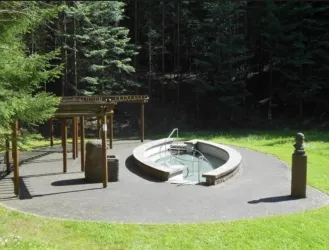 Ein entspannender Außenbereich mit einem runden Whirlpool und Holzelementen. Umgeben von Bäumen und Rasen, ideal zum Relaxen in der Natur.