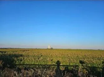 Eine weite Landschaft mit einem grünen Feld und klarem blauen Himmel. Im Hintergrund steht ein einsames Gebäude.