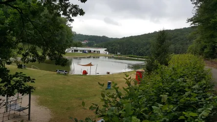 Ein ruhiger See umgeben von Bäumen und Wiese. Im Hintergrund ist ein modernes Gebäude zu sehen.