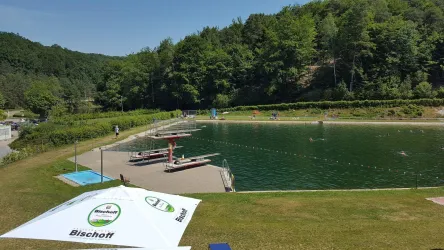 Ein ruhiger Schwimmteich umgeben von Bäumen. Es gibt Liegen und eine Sprunganlage für Besucher.