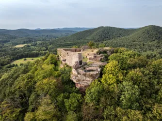 Eine alte Burgruine auf einem grünen Hügel mit dichten Wäldern und sanften Landschaften im Hintergrund. Die Aussicht zeigt eine idyllische Naturlandschaft.