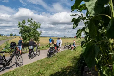 Eine Gruppe von Radfahrern steht auf einem Radweg in der Natur. Im Hintergrund sind Felder und ein klarer Himmel zu sehen.