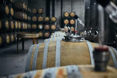 Wein (© TI Wachenheim)