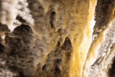 Eine nahaufgenommene Darstellung von mineralischen Ablagerungen an einer Oberfläche. Die Struktur zeigt verschiedene Texturen und Farben, die ein interessantes Muster bilden.