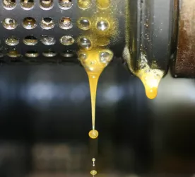 Tropfen aus Ölmühle (© Kai Dahlhoff)