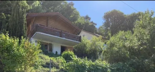 Der Sommer in voller Schönheit