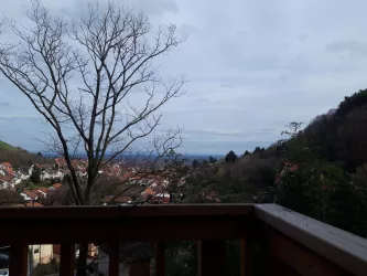 Aussicht (© Baumhaus St. Martin)