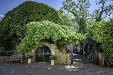 Ein malerisches Tor mit üppigem grünem Efeu und einem geschmackvollen Tor. Im Hintergrund sind Bäume und eine freundliche Hausfassade sichtbar.