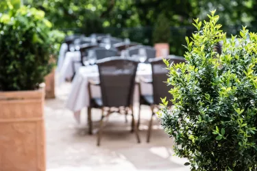 Restaurant Terrasse