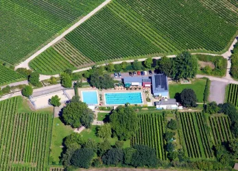 Freibad "Oase im Paradiesgarten" Deidesheim 1