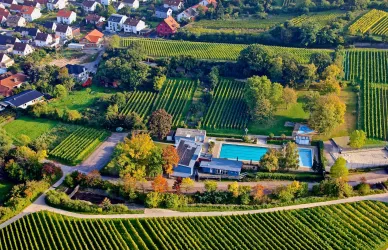 Freibad "Oase im Paradiesgarten" Deidesheim 2