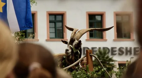 Pfingsten 2019, Geisbockversteigerung Deidesheim
