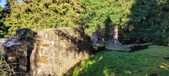 Ruinen aus Stein umgeben von üppigem Grün. Die Sonne scheint durch die Bäume und beleuchtet den Bereich.