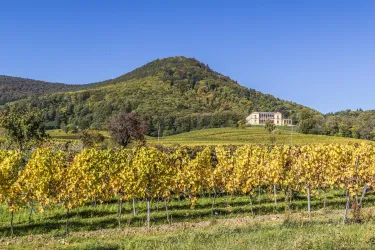 Villa Ludwigshöhe bei Herbst (© Verein SÜW Edenkoben, T. Kujat)