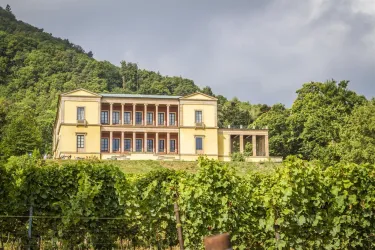 Außenansicht mit Weinbergen (© Verein SÜW Edenkoben, T. Kujat)