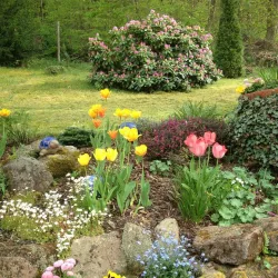 Unser Garten