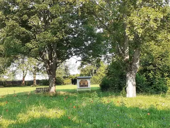 Bienenwiese im Park des Hotels
