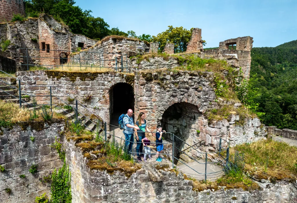 Die Hardenburg bei Bad Dürkheim