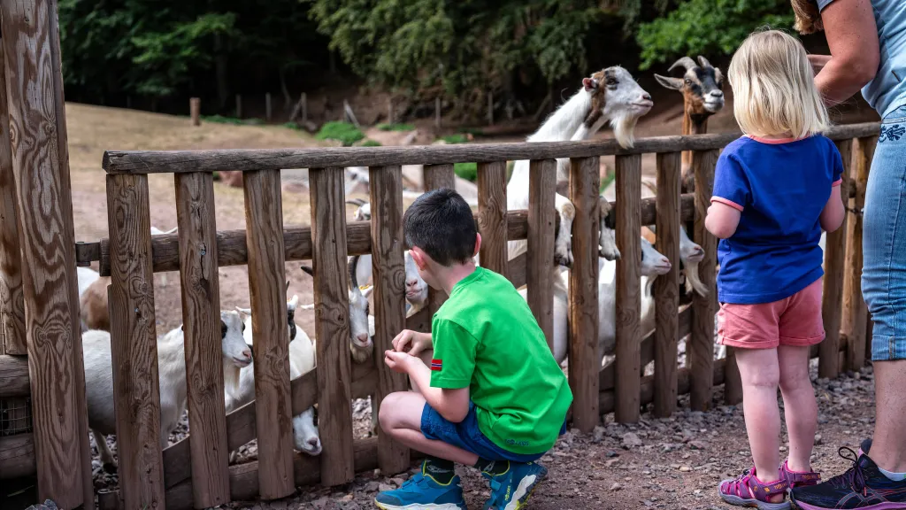 Tierische Begegnungen im Wild- und Wanderpark Silz