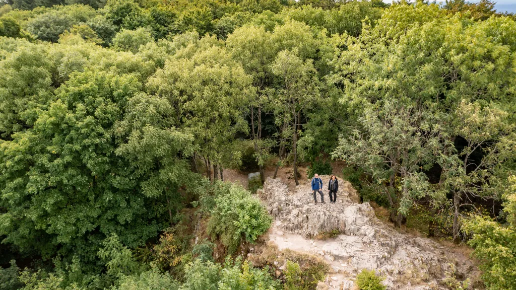 Gipfel des Donnersbergs im Sommer