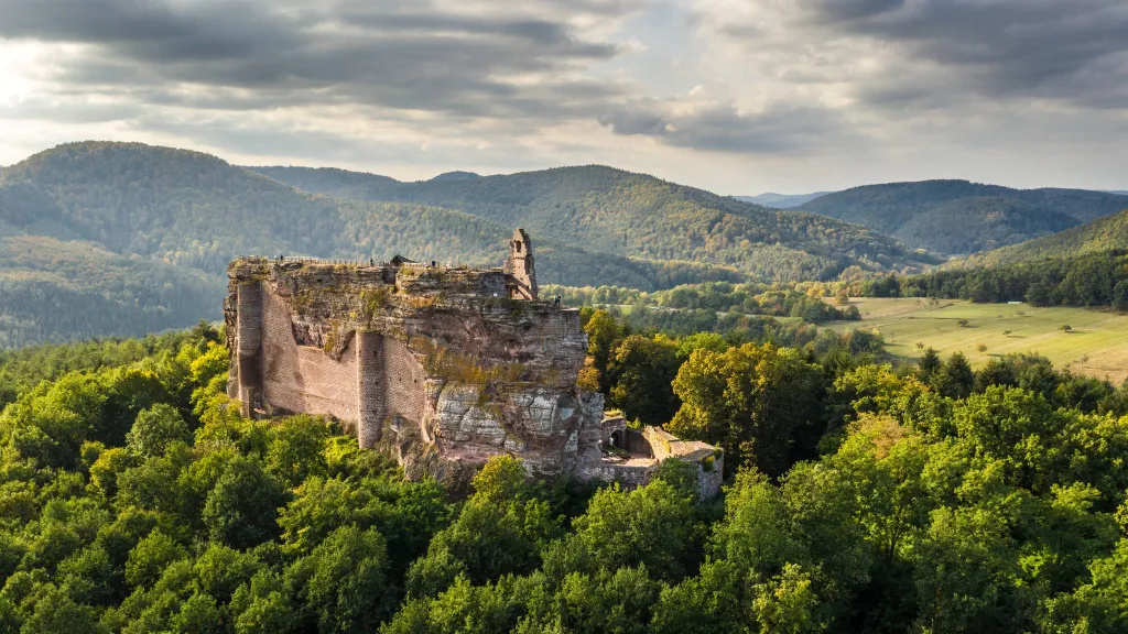 Burg Fleckenstein ragt aus dem Wald hervor