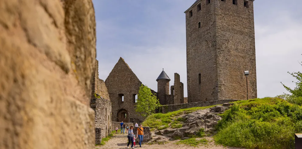 Burg Lichtenberg in Thallichtenberg