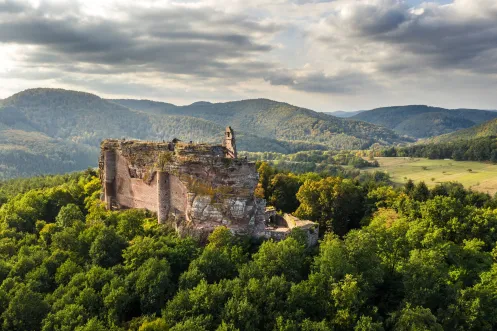 Burg Fleckenstein ragt aus dem Wald hervor