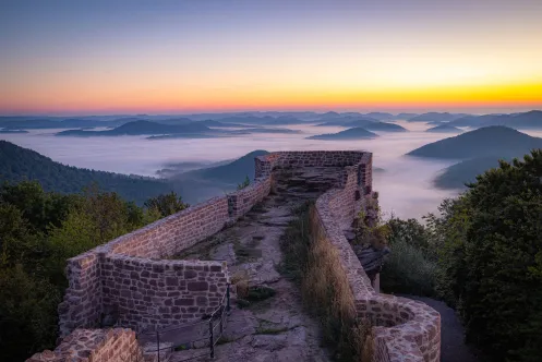 Blick über die Burgruine beim Sonnenaufgang in den nebelbedeckten Pfälzerwald