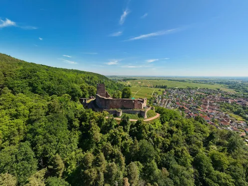 Burg Landeck direkt am Haardtrand gelegen