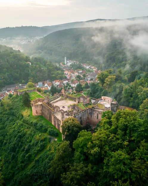Die Burg Hardenburg thront über dem nebeligen Ortsteil
