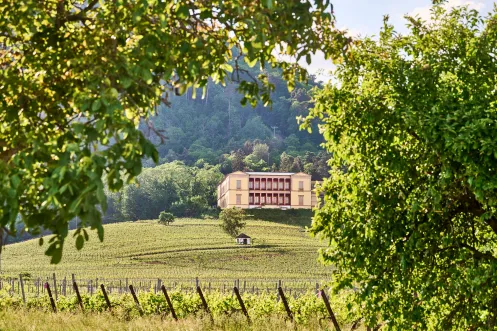 Villa Ludwigshöhe thront über den Weinbergen