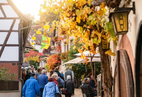 Gefüllte Gasse mit herbstlicher Stimmung