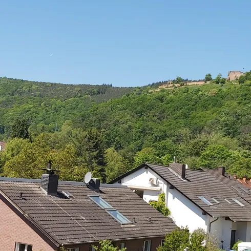 Burgblick Burgblick