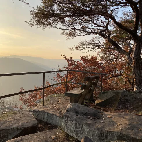 Bergstein Herbst