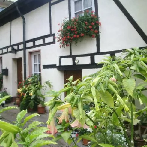 Hausansicht Hausansicht