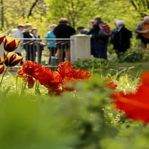 Kurpark (© melhubach photographie) Kurpark (© melhubach photographie)