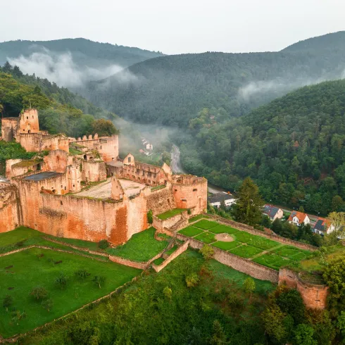 Schloss- und Festungsruine Hardenburg