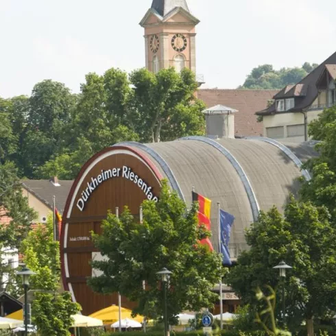 Fassführung Fassführung