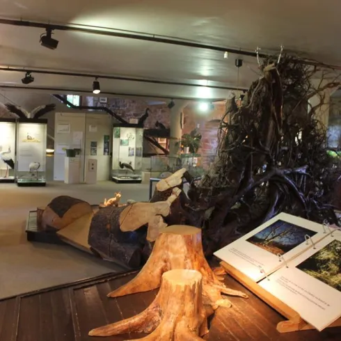Naturkundemuseum (© FVZV Pfälzer Bergland) Naturkundemuseum (© FVZV Pfälzer Bergland)