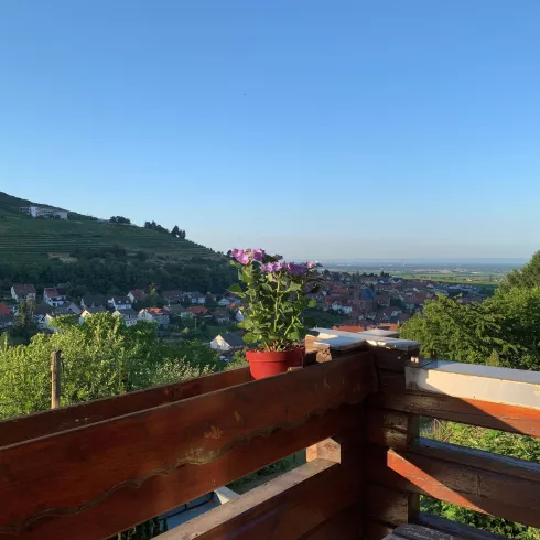 Blick vom Balkon