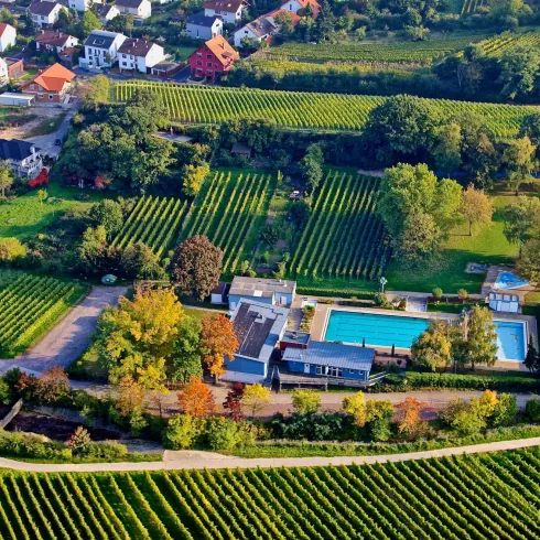 Eine weite Landschaft mit Weinbergen und einem Schwimmbad. Im Hintergrund sieht man ein Wohngebiet mit bunten Häusern.