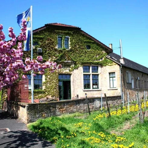 Winzerverein Deidesheim eG 2