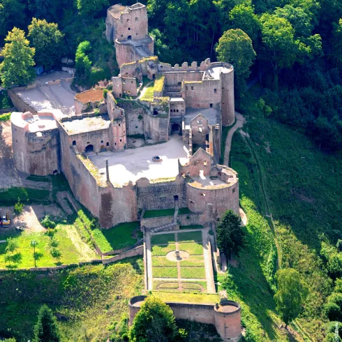 Die Burg Hardenburg bei Bad Dürkheim aus der Vogelperspektive