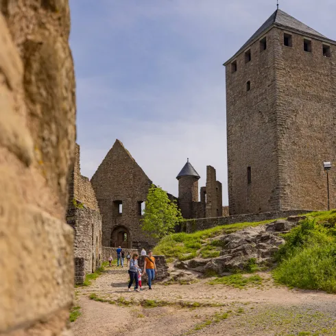 Burg Lichtenberg in Thallichtenberg