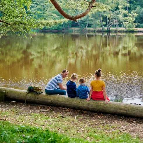 Familie sitzt auf Baumstamm direkt am Weiher