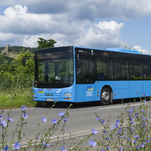 Blauer Bus fährt auf einer Straße 